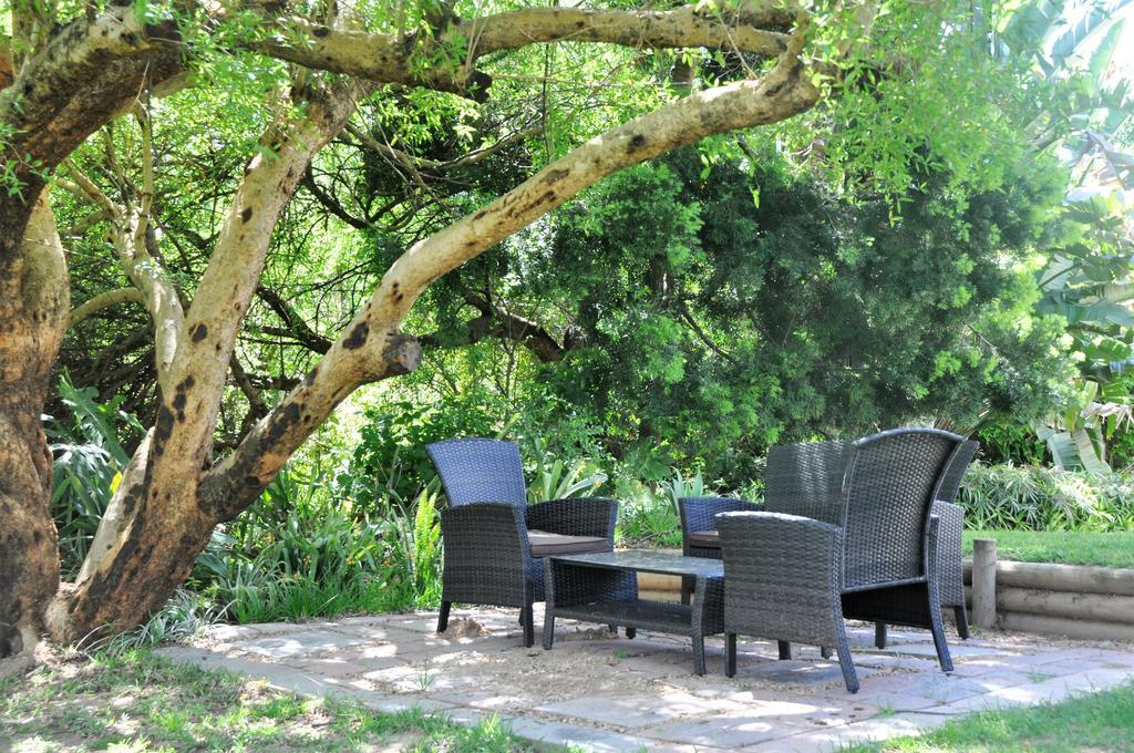 Umlambo River Lodge Kirkwood ภายนอก รูปภาพ