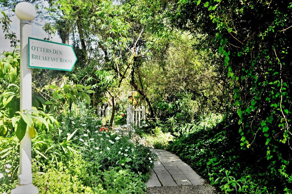 Umlambo River Lodge Kirkwood ภายนอก รูปภาพ