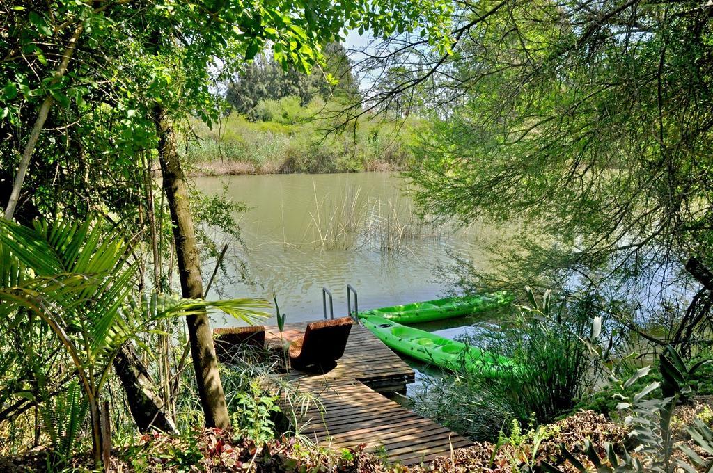 Umlambo River Lodge Kirkwood ภายนอก รูปภาพ