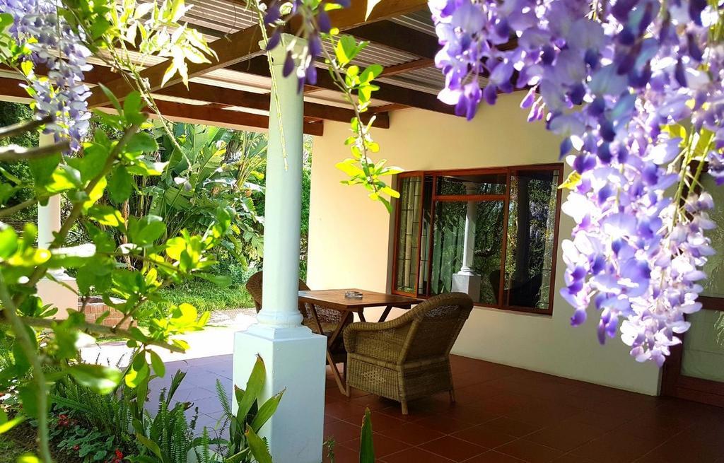 Umlambo River Lodge Kirkwood ภายนอก รูปภาพ