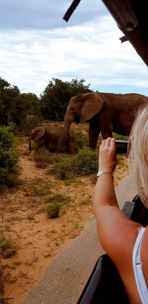 Umlambo River Lodge Kirkwood ภายนอก รูปภาพ