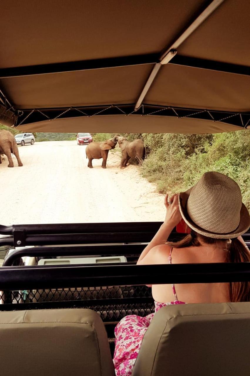 Umlambo River Lodge Kirkwood ภายนอก รูปภาพ