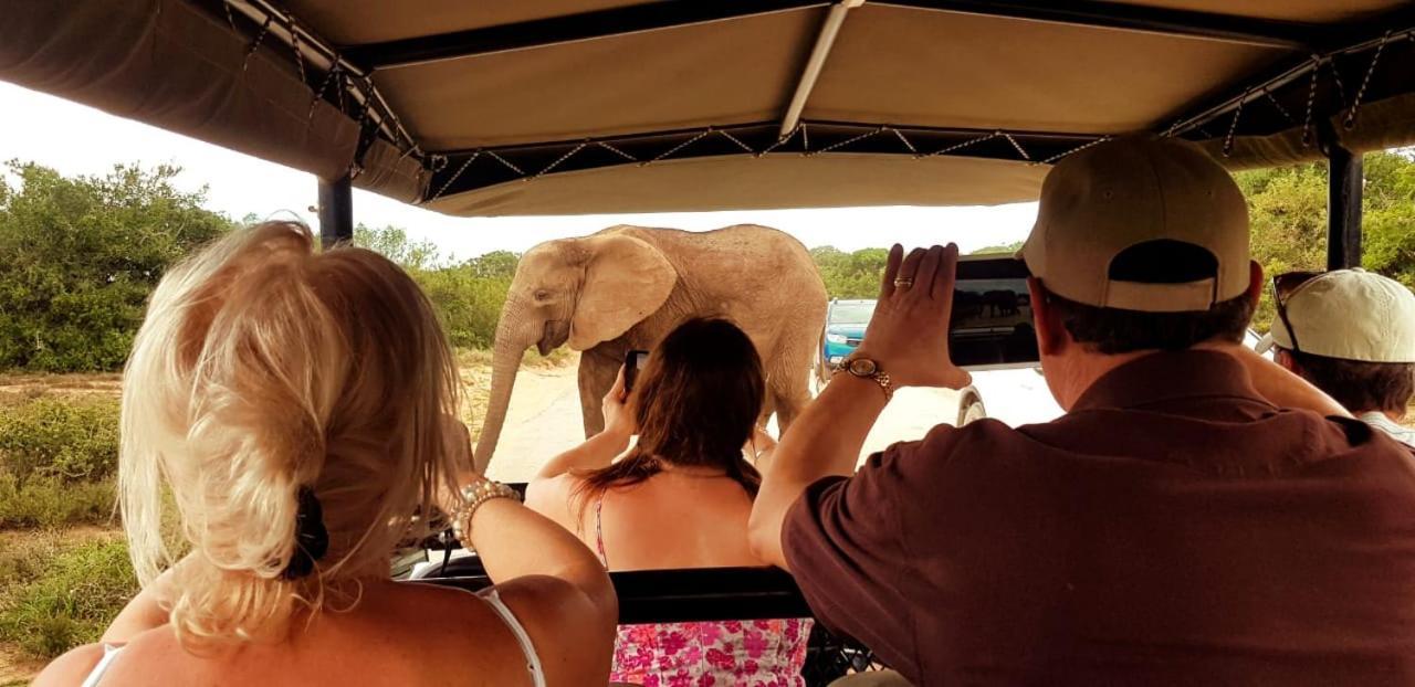 Umlambo River Lodge Kirkwood ภายนอก รูปภาพ