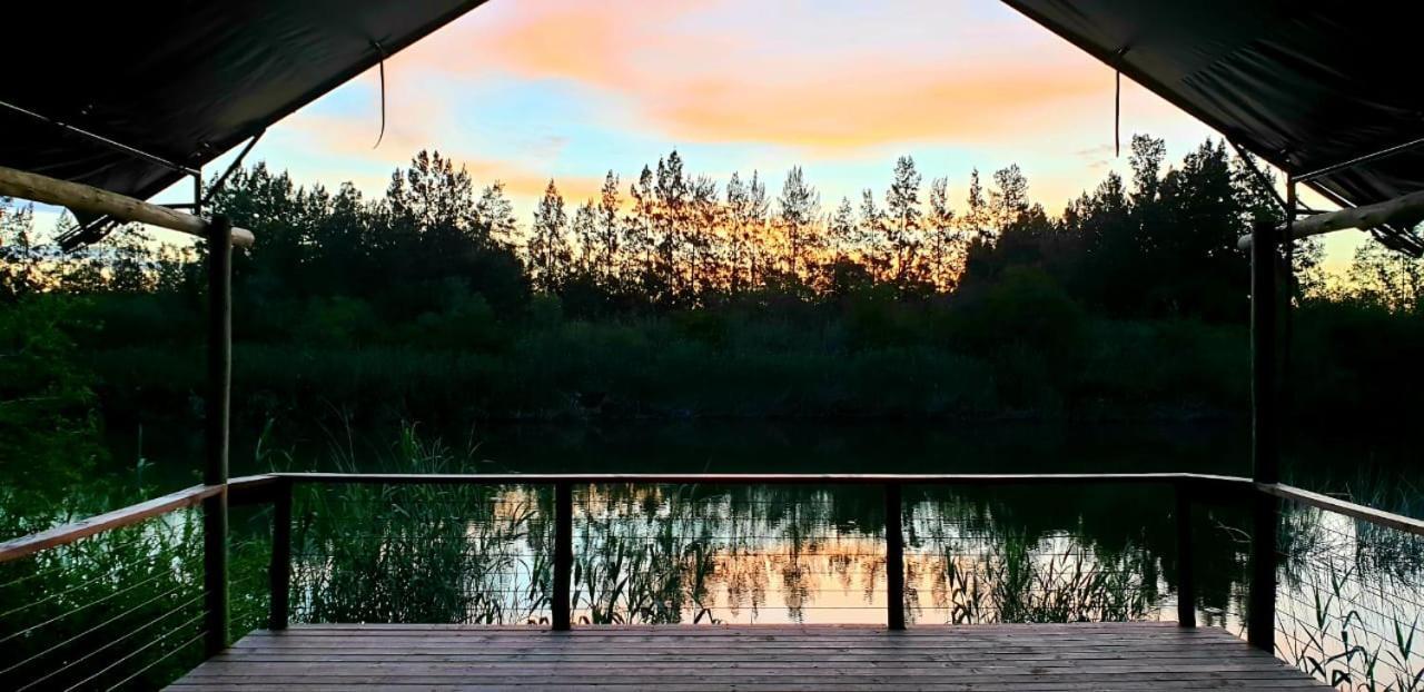Umlambo River Lodge Kirkwood ภายนอก รูปภาพ